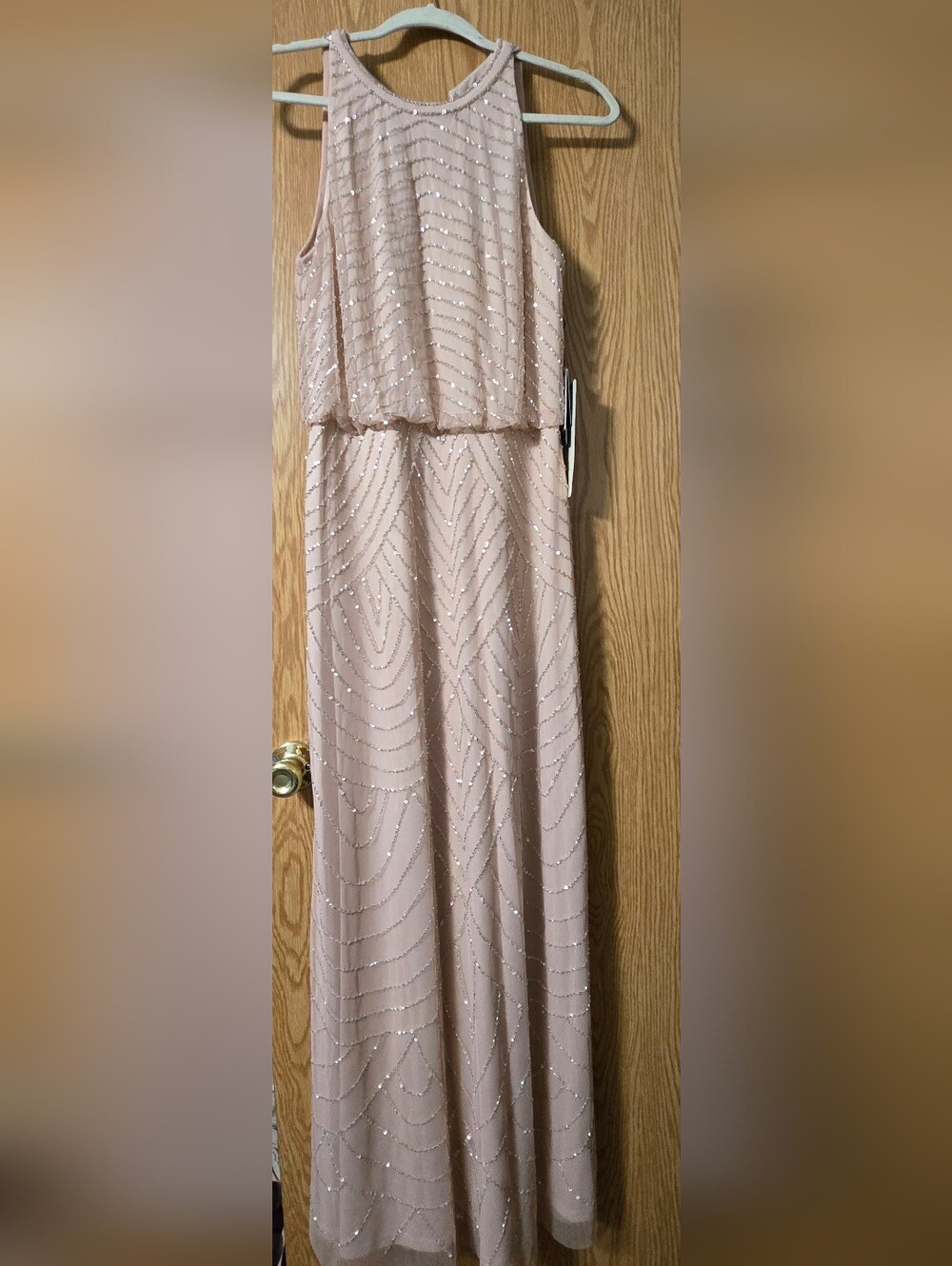 Adrianna Papell Blush Sequin Maxi Dress